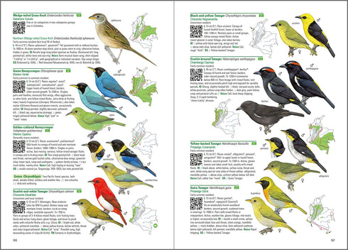 Birds of Colombia -Hilty 2021 Kovakantinen